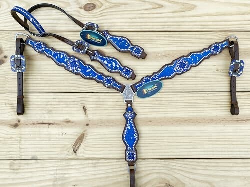 Blue and silver horse tack set on wooden background