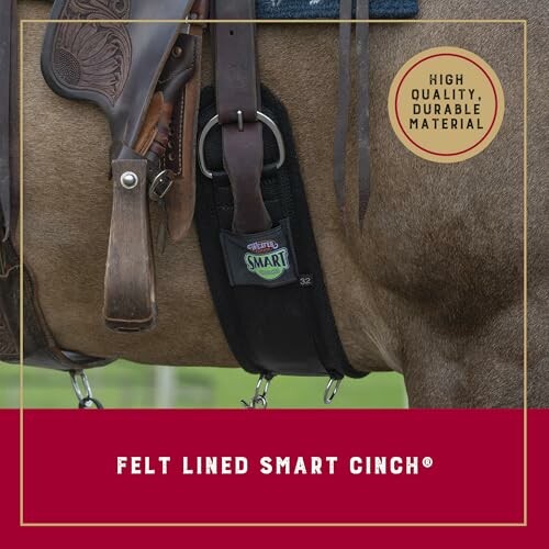 Close-up of a horse saddle with felt lined smart cinch