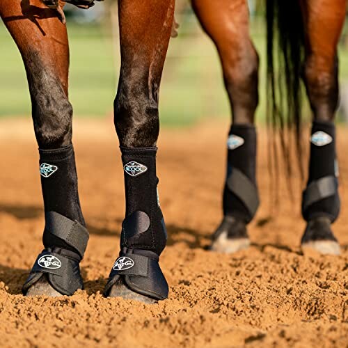 Horse wearing protective leg boots on sandy ground.