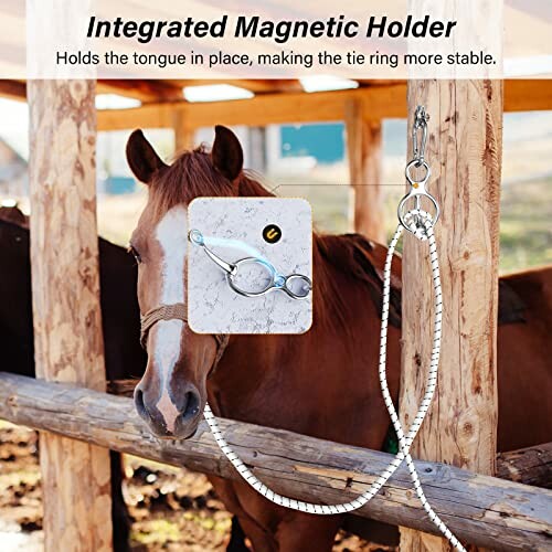 Horse tied with integrated magnetic holder in stable.