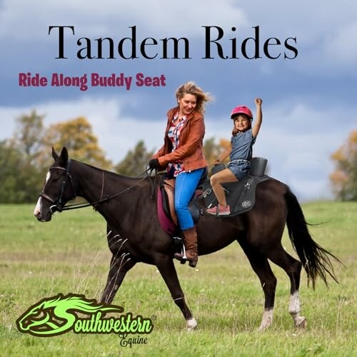 Woman and child riding a horse with a buddy seat.